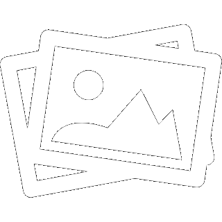 artwork of the artist, william III