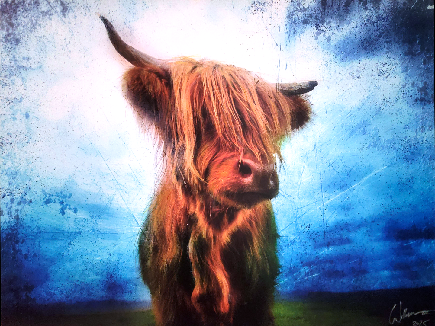 "Highland" cow painting by artist William III