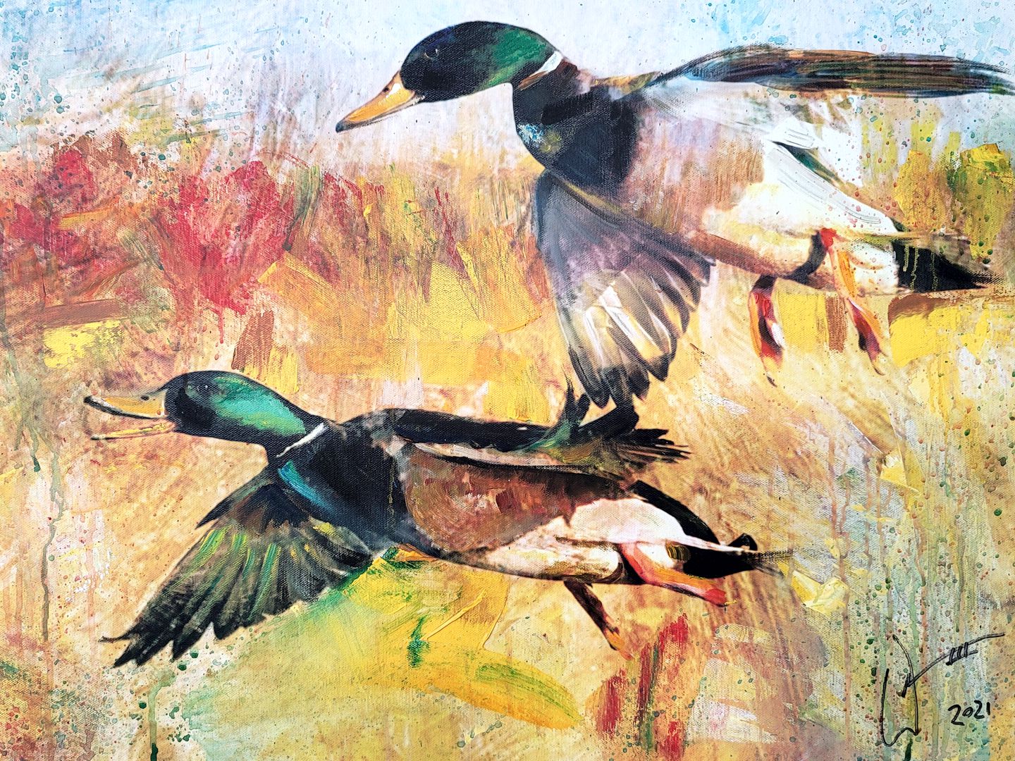 Mallards painting by artist, William III