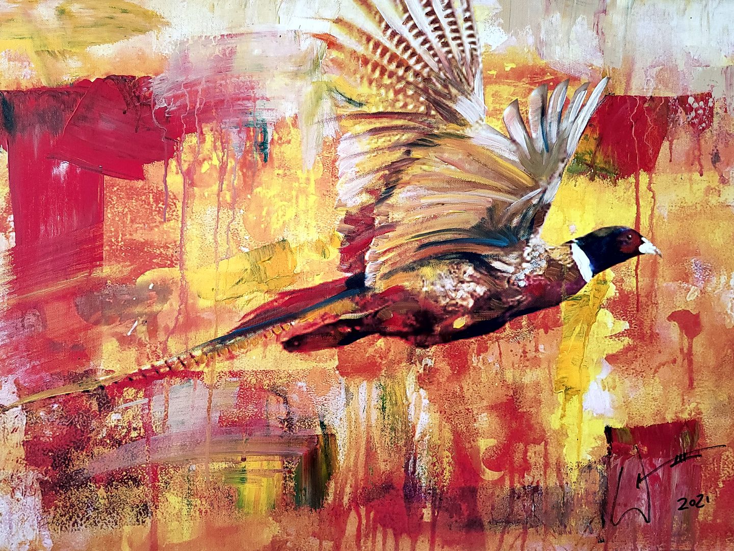 Pheasant painting by artist, William III