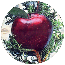 surrealistic works of art by william III